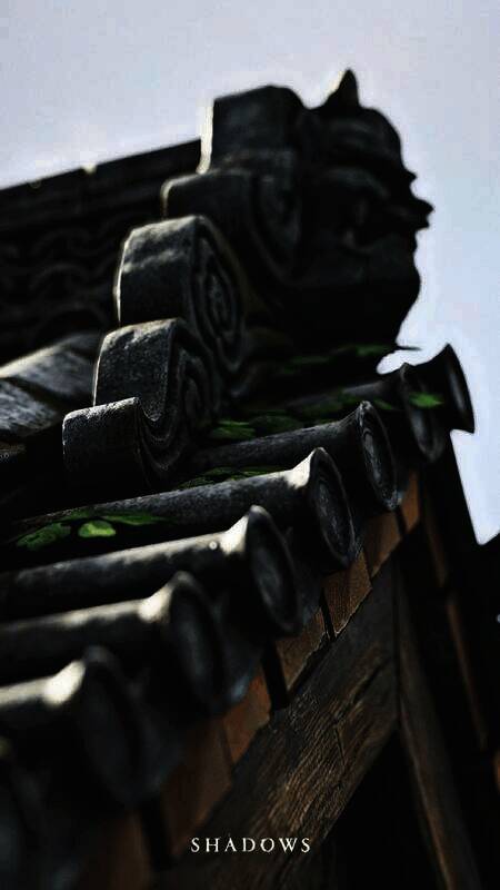 《刺客信条：影》手机壁纸2