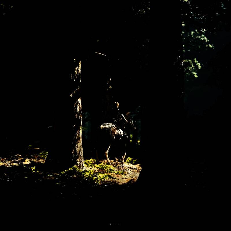 《刺客信条：影》手机壁纸11