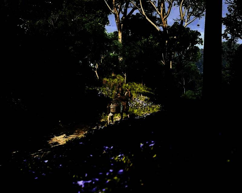 《刺客信条：影》手机壁纸12