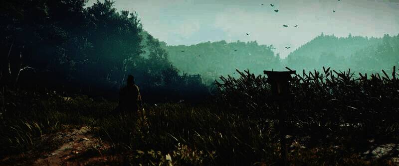 《刺客信条：影》电脑壁纸9