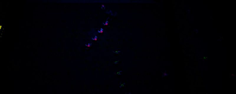 双影奇境游戏画面