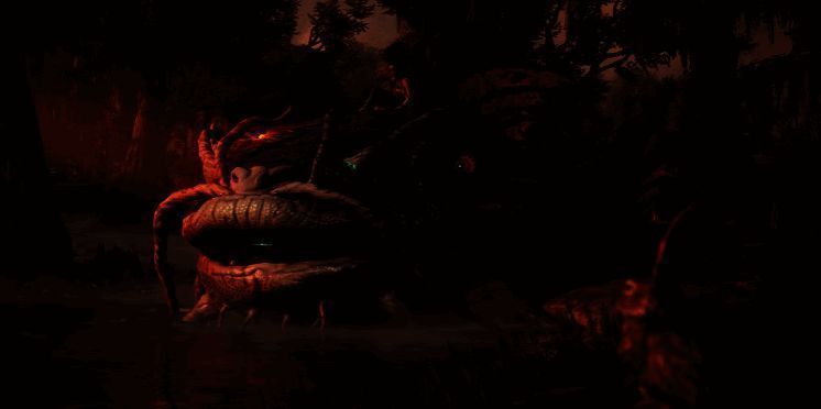 《午夜之南》相关展示图片