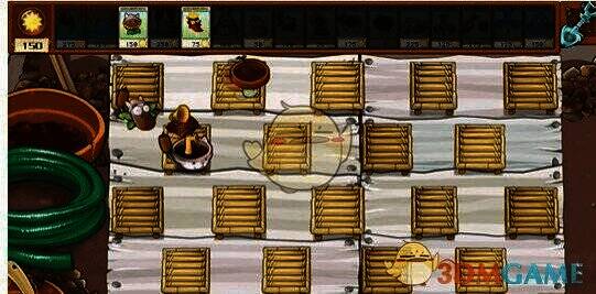 唱片机胆小菇相关图片2