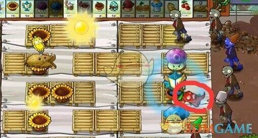 植物大战僵尸杂交版辣椒杀虫剂相关图片2