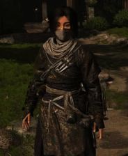 《刺客信条：影》相关图片