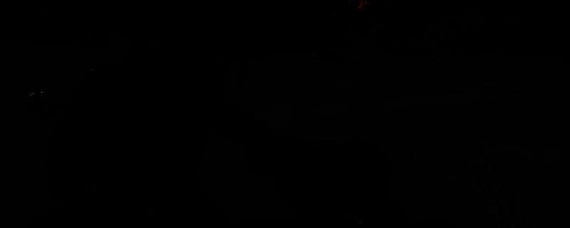 刺客信条影猫岛相关图片