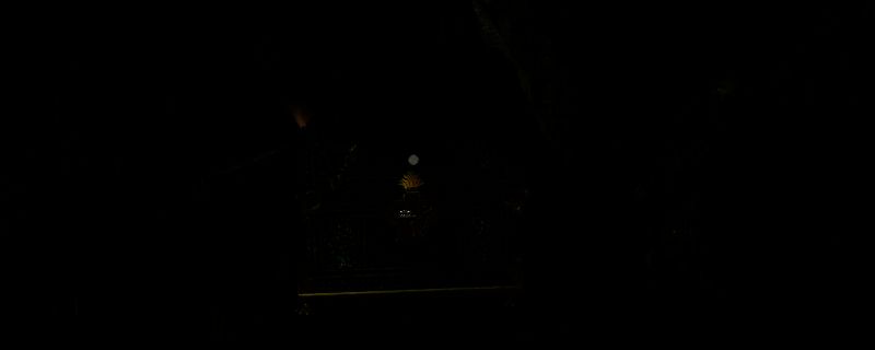 《刺客信条：影》相关图片