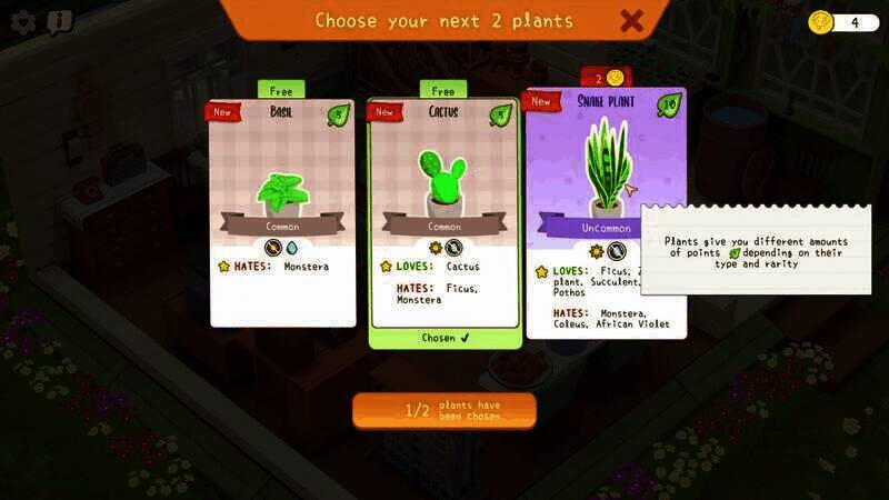 《我的小绿屋》相关画面5