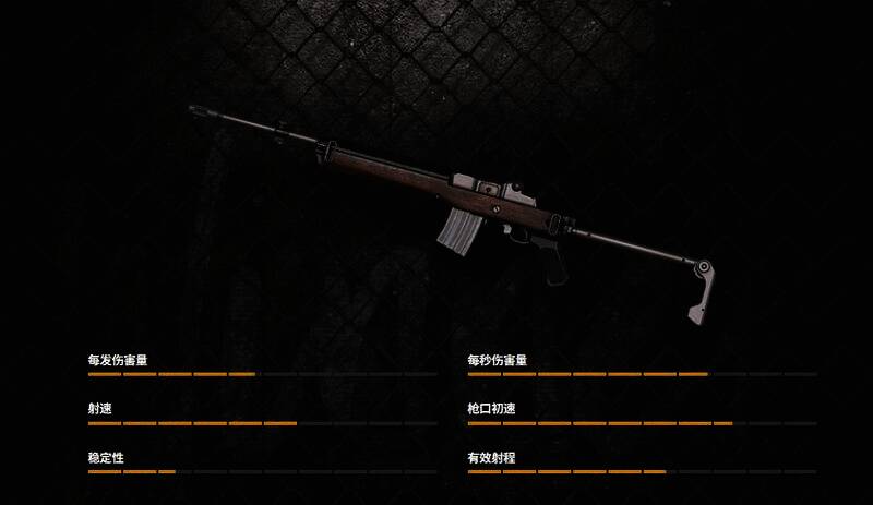 Mini14精确射手步枪