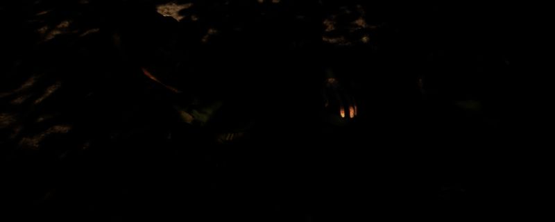 《医疗兵：太平洋战争》相关图片1