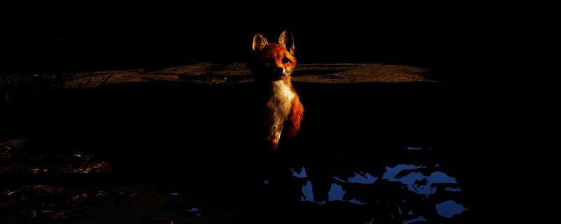 《刺客信条：影》相关画面