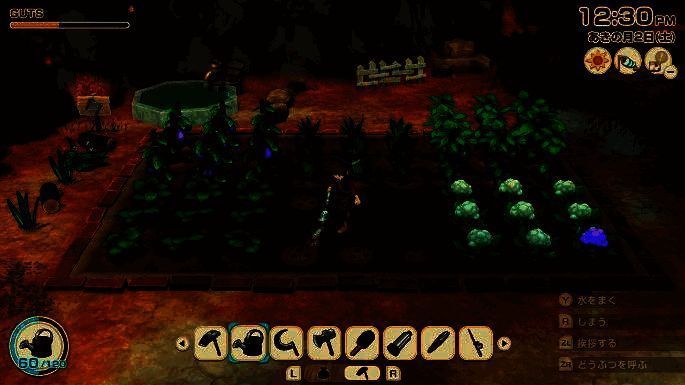 《牧场物语 来吧！风之繁华市集》游戏画面5