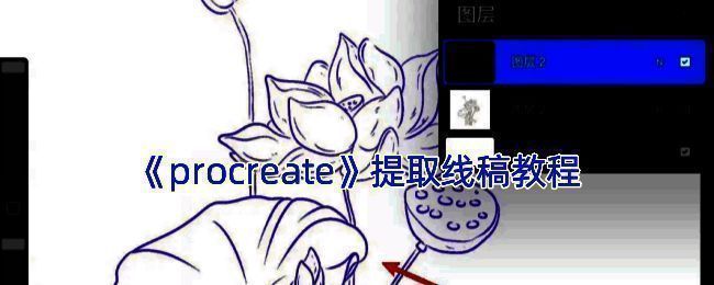 Procreate提取线稿的参考画面