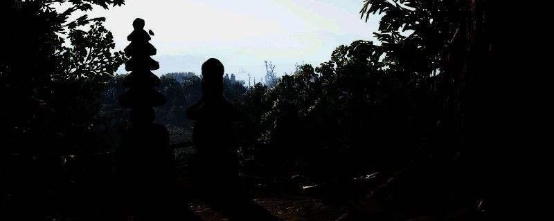 《刺客信条:影》游戏相关图片1