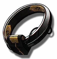 大世界敌人掉落基准镣环相关图片