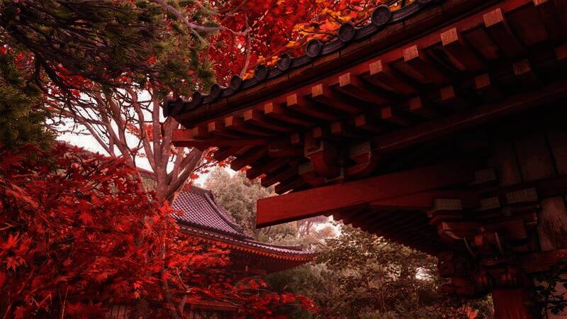 《刺客信条:影》游戏四季风景截图1