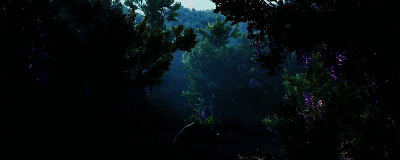 《刺客信条：影》相关画面