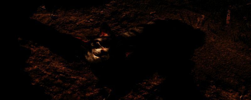 《刺客信条：影》相关图片1