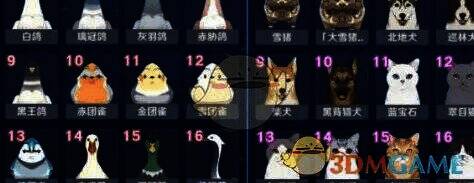 原神5.5版本新生物相关图片