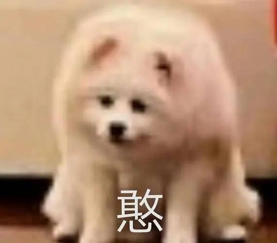 哈尔滨热闹场景图