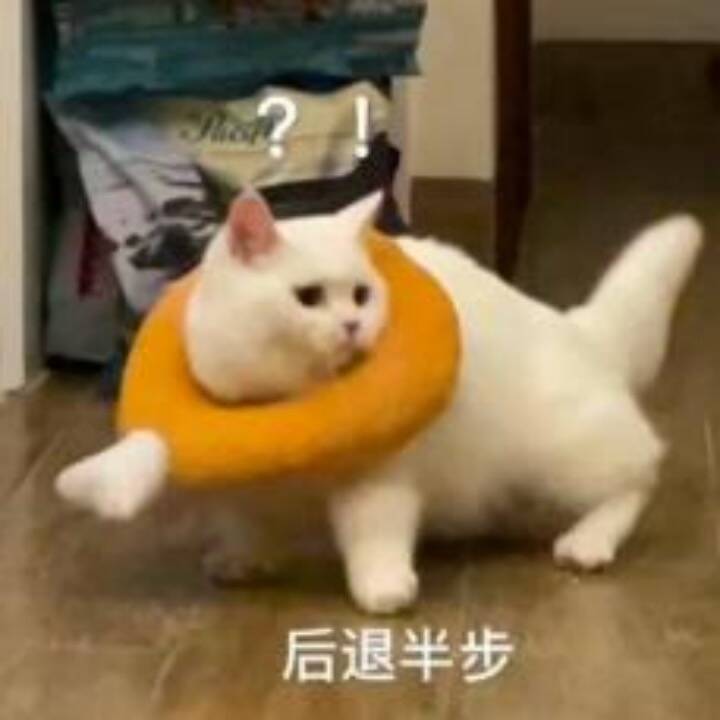 《无尽的拉格朗日》相关画面5