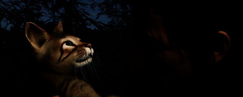 浪人崛起游戏相关画面