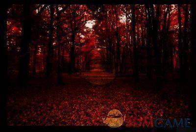 medibang paint pro打开图片素材界面图