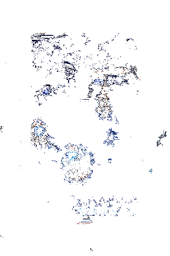 小松丸新皮肤绒雪缀枝动态展示3