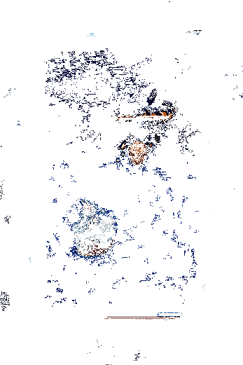 小松丸新皮肤绒雪缀枝动态展示5