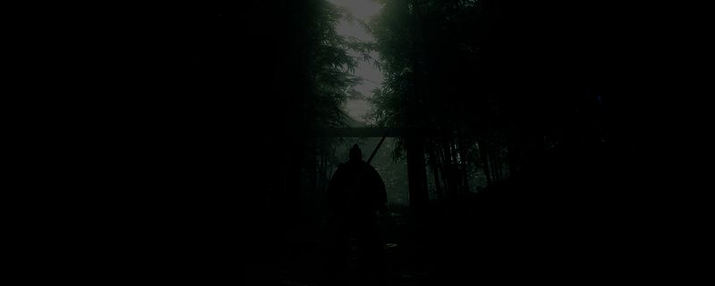 浪人崛起游戏相关截图