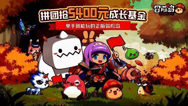 预创团活动图片