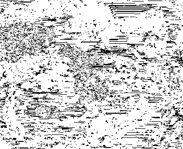 龙息神寂限定流光动画