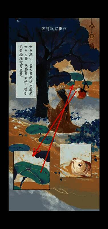 果实和荷叶的画面