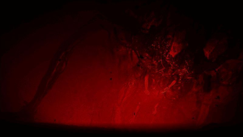 游戏赛博克鲁苏式怪物画面