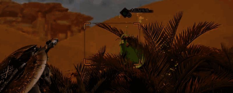 《怪物猎人：荒野》相关游戏画面
