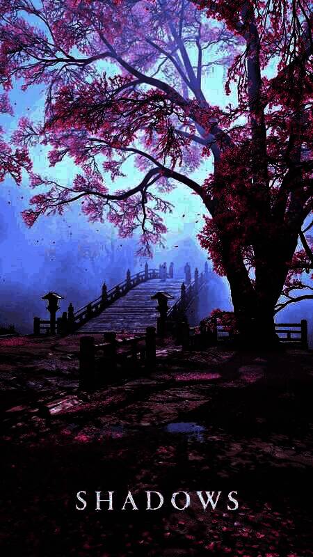 《刺客信条:影》相关画面2