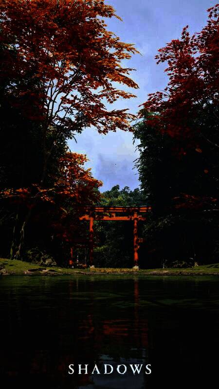 《刺客信条:影》相关画面5