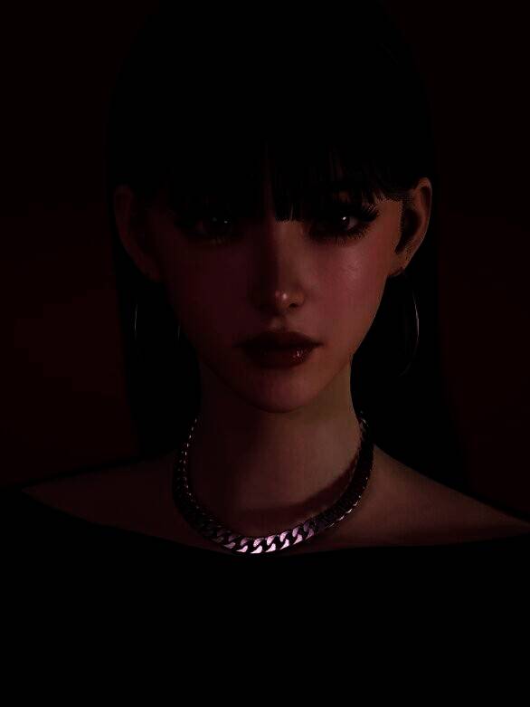 inZOI捏脸使用教程图2