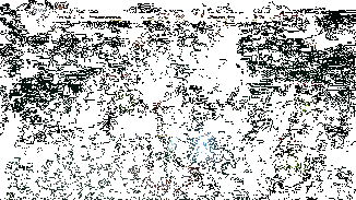 崔斯特·杜垩登战技效果动图