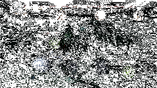 崔斯特·杜垩登威能技效果动图