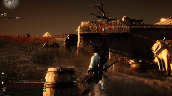 墙上猫猫·卢克图片