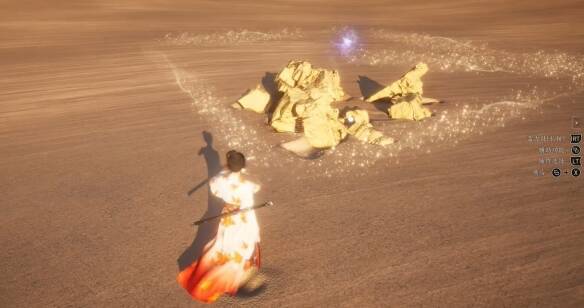 沙漠中匿影飞鲶所在位置的光圈和石头