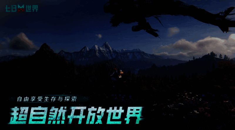 七日世界游戏相关配图2