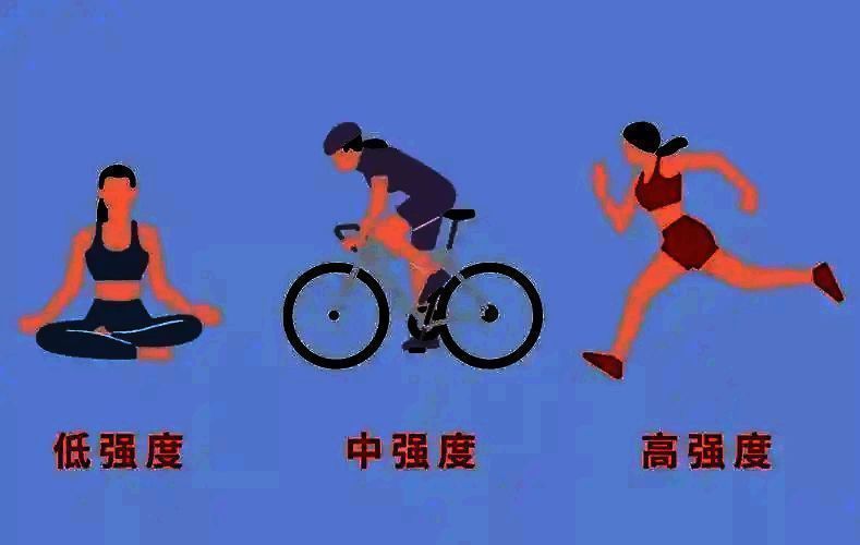 支付宝蚂蚁庄园相关图片