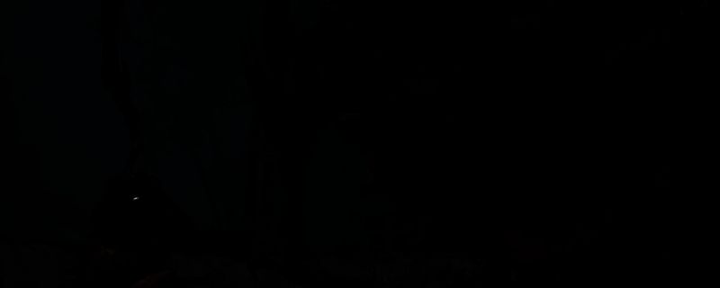 《怪物猎人：荒野》相关画面1