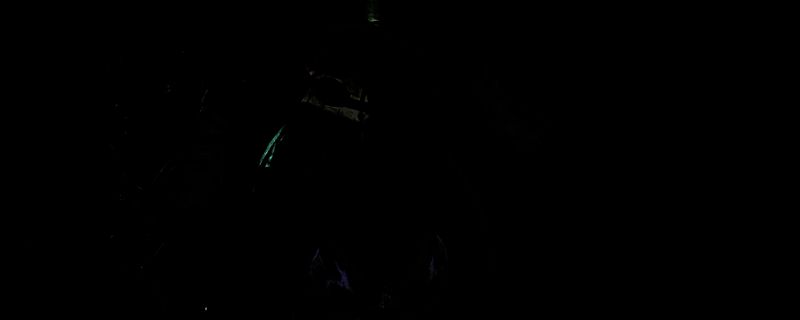 《怪物猎人：荒野》游戏画面