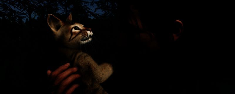 浪人崛起相关图片1