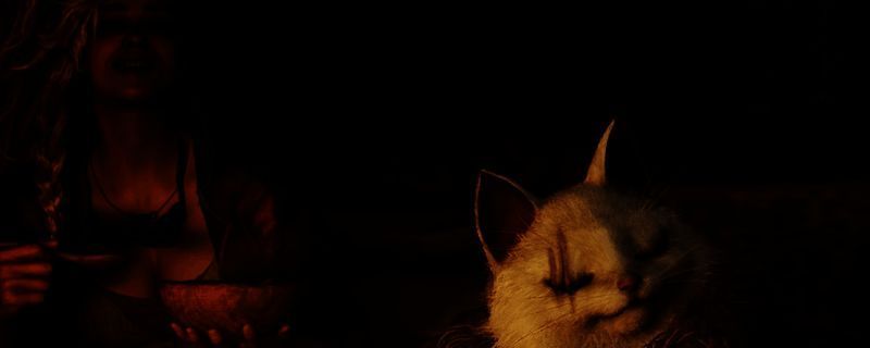 怪物猎人荒野相关界面截图