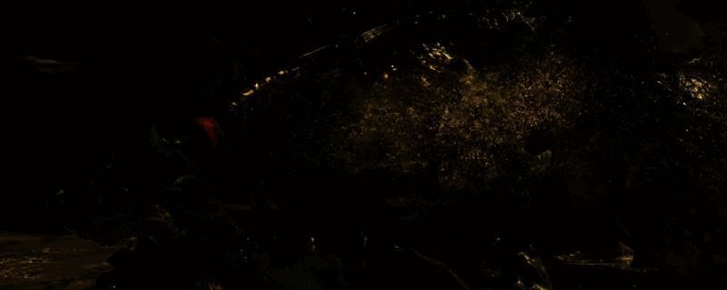 怪物猎人荒野相关游戏画面