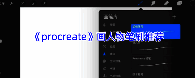 Procreate绘制人物相关展示图